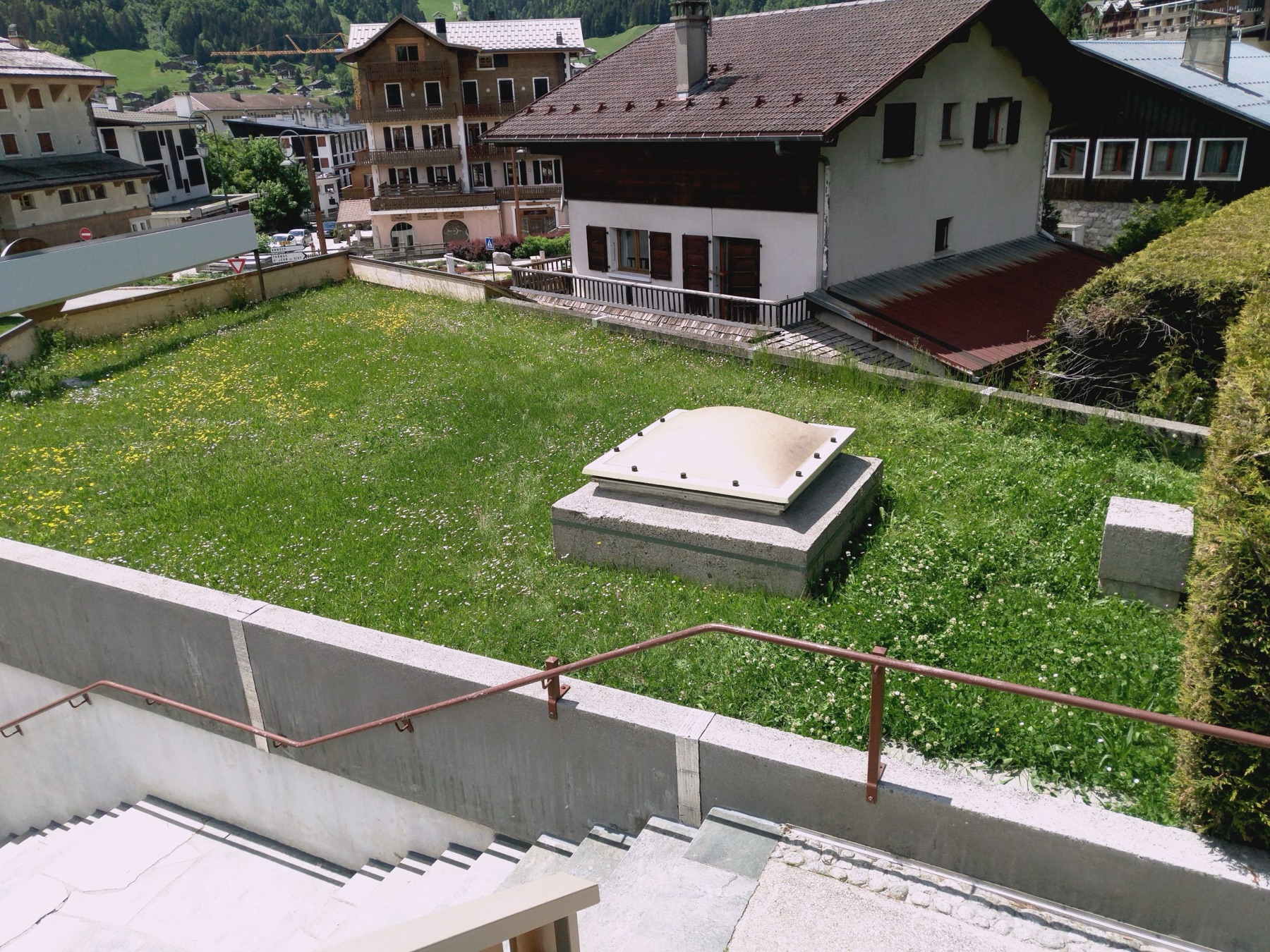 Toiture végétalisée après les travaux